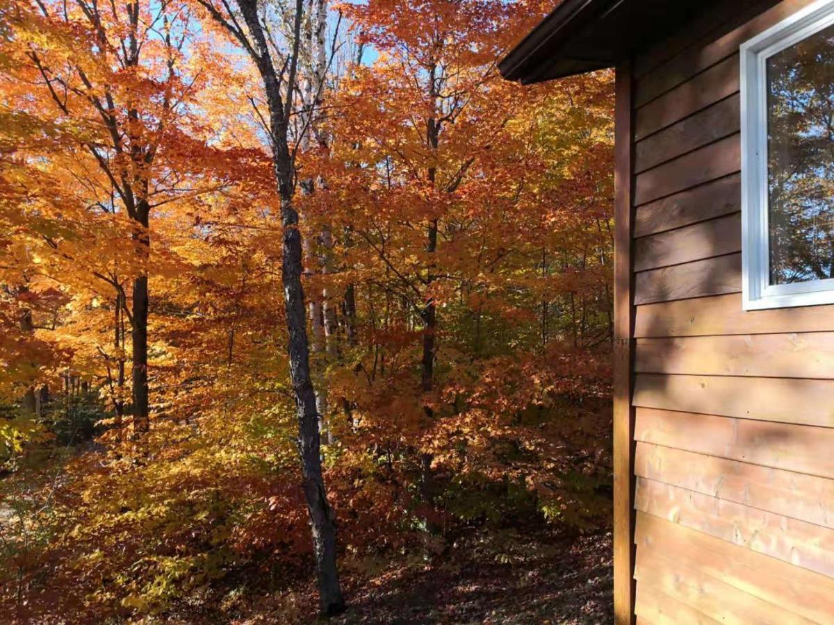 Sunny Point Resort Otter Lake Esterno foto